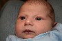 IMG_7137 (Medium).JPG (45907 bytes)
